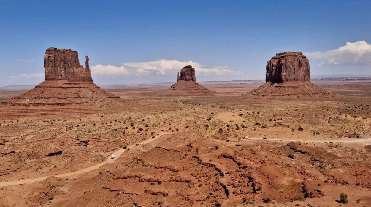 Viaggio Stati Uniti Giovanni Stefani