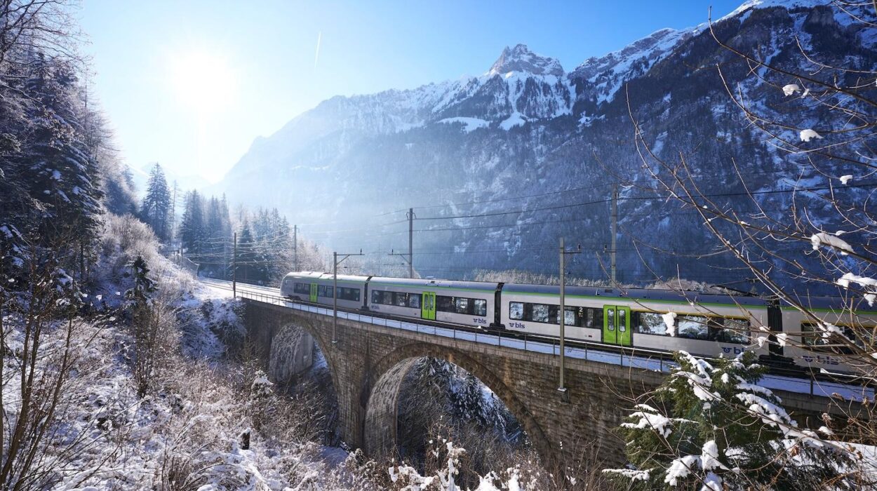 Trenino Verde delle Alpi inverno